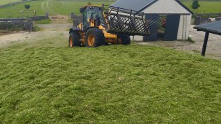 Why the best additive for silage might be…diesel!