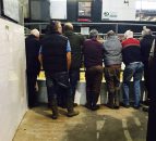 Quiz: Have you got what it takes to be a farmer?