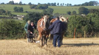Ploughing results from Day Three of the Ploughing