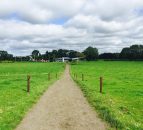 Three top factors to consider when putting in a paddock system