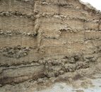 'Silage quality can have a big impact on animal performance'