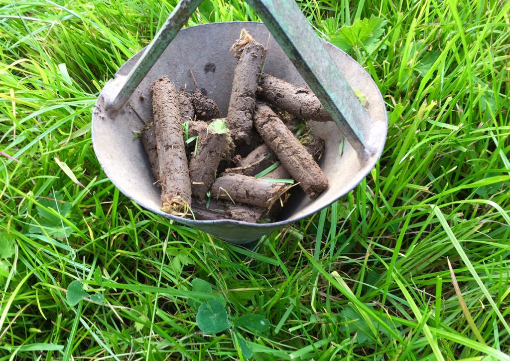 soil, fertiliser