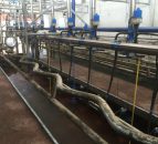 April milk prices in NI up over 40% on the same month in 2016
