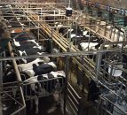 Fears of post quota exodus from winter milk production