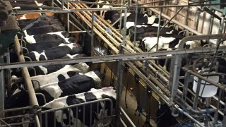 Fears of post quota exodus from winter milk production