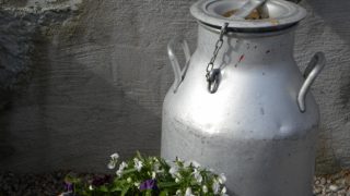 EU milk production forecast to be 1% higher this year