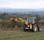 Flexibility to be allowed on hedgecutting dates on pilot basis