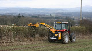 Flexibility to be allowed on hedgecutting dates on pilot basis