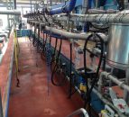 US dairy farmers thank their lucky stars and strong domestic market