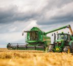 Record global wheat production forecast for harvest 2016 - FAO