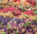 'Irish and UK potato yield to be above 5-year average'