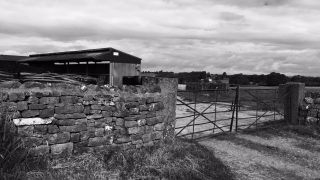 Farm trespasser convicted of attempting to steal diesel