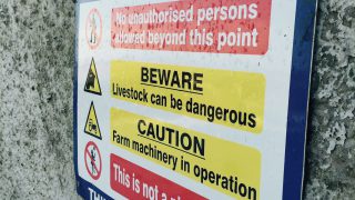 Woman (70s) dies after being attacked by cattle