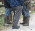 NFU Cymru to hold 'Welsh Food and Farming; Moving Forward' conference