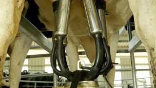 Co-ops oppose any attempts to reintroduce milk quotas by ‘the back door’
