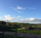 Embrace FARM to set up Cork support network