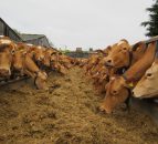 Dairy farmers can look forward to 'volatility proof' EU loans
