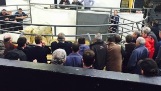 ‘Farmers have real fears around the lack of competition in beef processing’