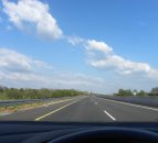 If my livestock cause a road traffic accident: am I covered?