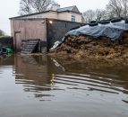 Pics: Flooding has turned one Mayo farm into the 'local lake'