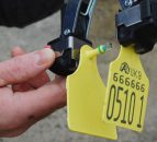 Failure to tag cattle leads to court conviction for one farmer