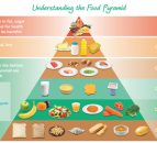 Real men don't eat quiche - maybe they should! A guide to healthy eating