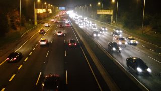 Loose cattle have closed the M3 in both directions this morning