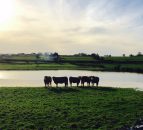 Farmers in the east are offering to help their flooded western counterparts
