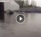 RTE capture terrible footage of an almost fully submerged farm yard in Galway