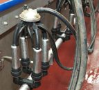 Glanbia, Kerry Group and Lakeland Dairies have set December milk price