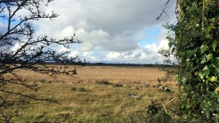 Scottish Land Commission appoints new chair and 2 land commissioners