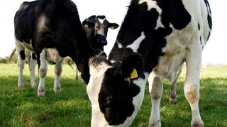 DeLaval showcases latest innovations at Dairy Day 2018