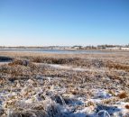 US winter storm Goliath to have 'lingering affect' on milk supply