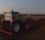 Video: Sowing corn with four restored Ford tractors