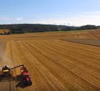 Video: Great footage of the wheat harvest in Norway last year