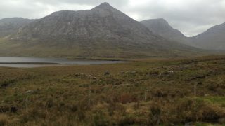 Landowner fined for damaging protected habitat