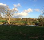 Northern Irish farmer fined for allowing silage effluent to enter waterway
