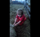Video: Three-year-old delivers lamb... all by herself!