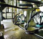 Handy tips to keep milking equipment from freezing
