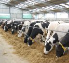 'Northern dairy farmers should not have to cut production'