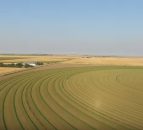 Video: Great footage of farming in the US on a huge scale
