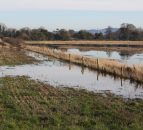 Farmers in the North urged to apply for flood relief