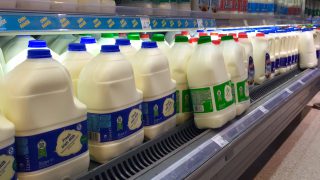 Anger as UK government advises consumers to halve dairy intake
