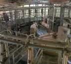 Firefighters rescue cow trapped in rotary milker