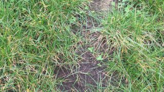NRM offer NFU members soil carbon measurement discount