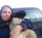 'Carry on designing kitchens or take over managing the farm?'