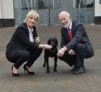 Tougher sentencing for those found guilty of animal cruelty in the North