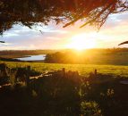 Met Office confirms 2022 to be UK's hottest year on record