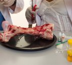 Over 10,000t of hazardous fake food seized by Europol