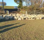 Over 100 sheep killed in the UK's worst sheep attack ever